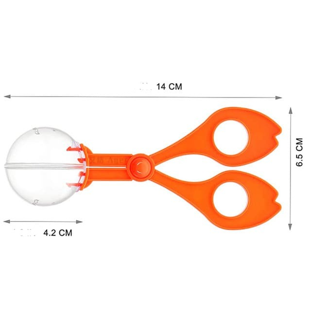 Coordenação Motora Fina Kit Pompons Com Pegador e Potes - Nutri Baby