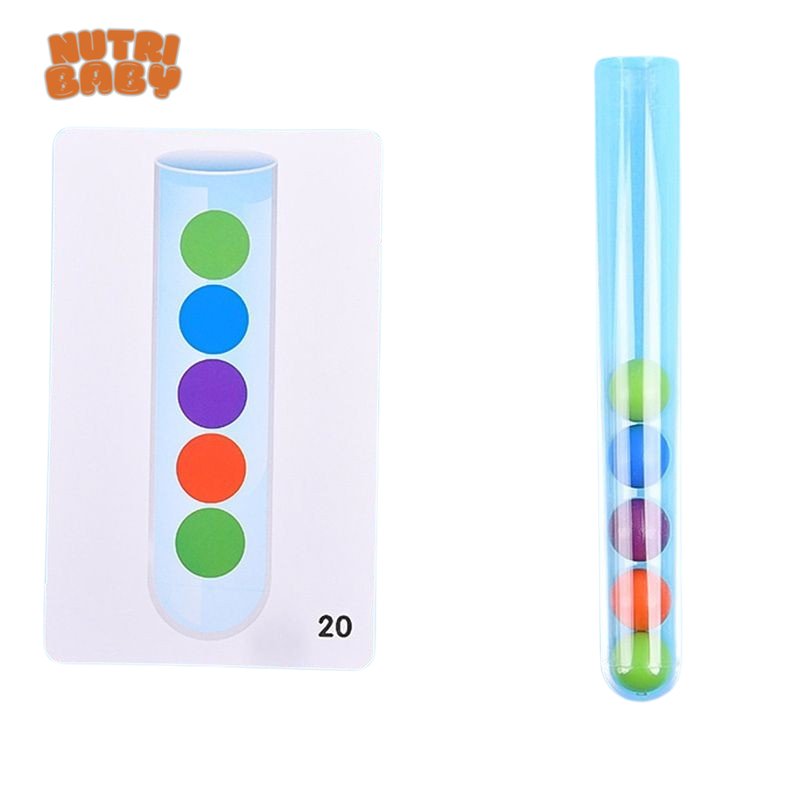 Brinquedo Montessori Concentração Lógica e Treino Motor