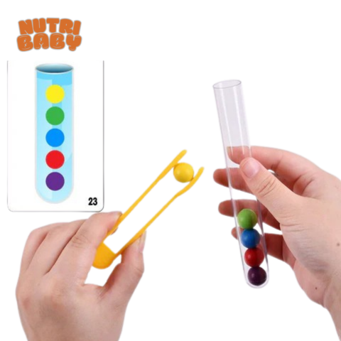 Brinquedo Montessori Concentração Lógica e Treino Motor